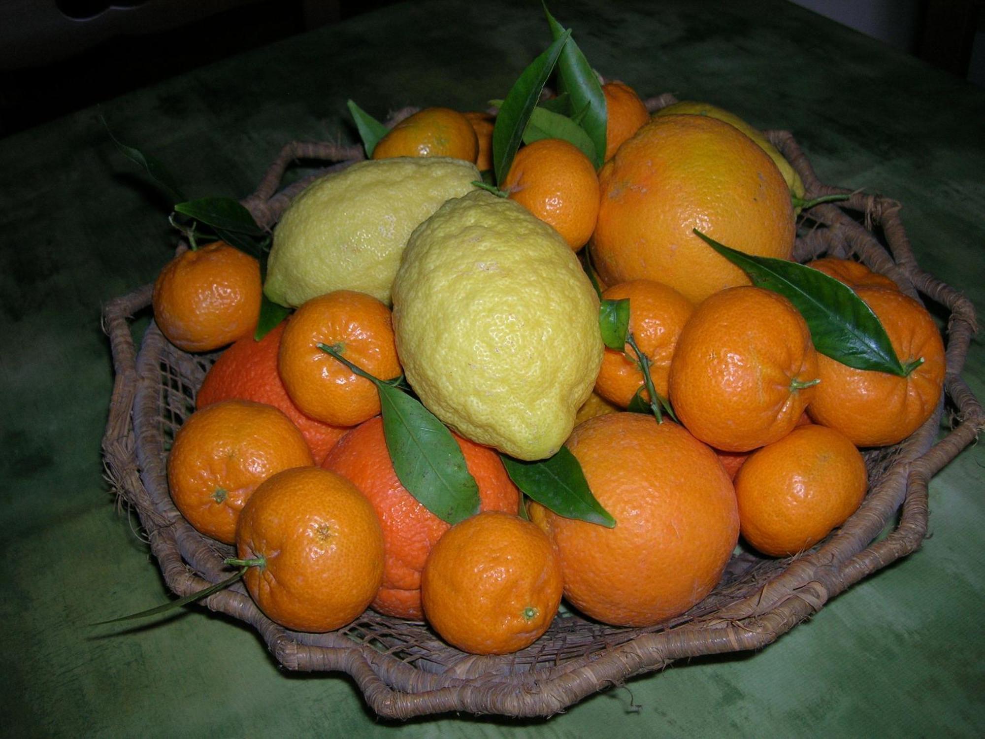 Agriturismo Baglio Donna Santa Dattilo Bagian luar foto