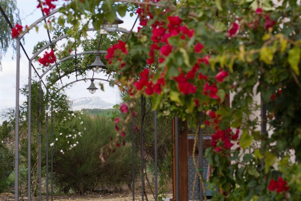 Agriturismo Baglio Donna Santa Dattilo Bagian luar foto